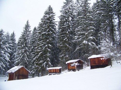 100_0507_chalets.jpg