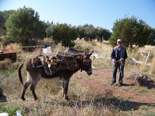 100_9248_Trizonia_un homme ramène son bois.jpg