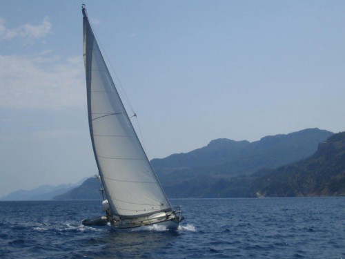 IMG_3577_Marmotte sous voiles.jpg