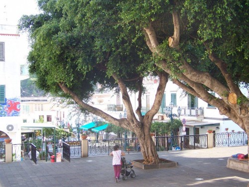 100_8855_La piazza où se retrouvent le soir les enfants du village.jpg