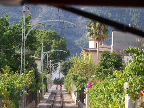 100_2444_sur la ligne du tram.jpg