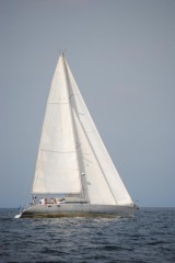 DSC_0384_536x800.jpg