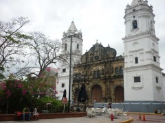 P1030807_800x600.jpg
