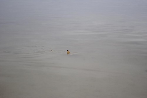 DSC_1318_1024x685.jpg