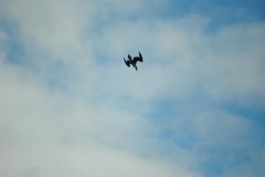 DSC_0611_1024x685.jpg