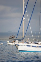 DSC_0560_685x1024.jpg