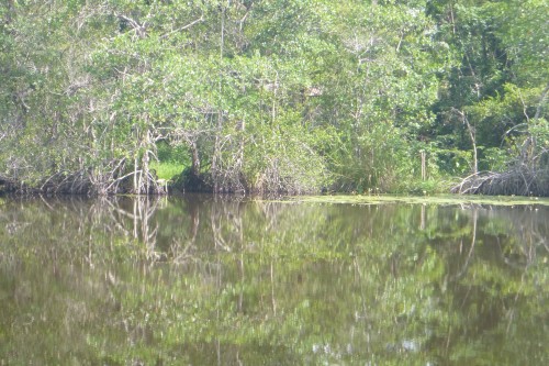 guatemala el golfete rivière.JPG