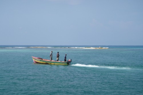 3alligator reef pêcheurs J.JPG