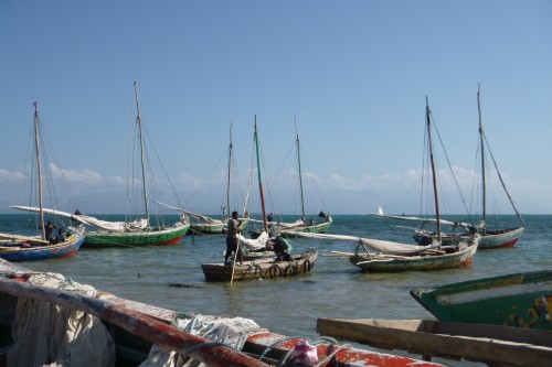 13ile a vache madame bernard les barques.JPG