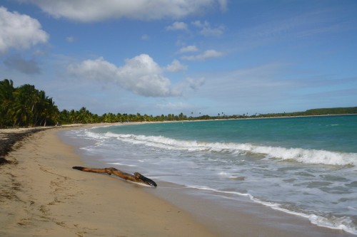 1 sun bay vieques.JPG