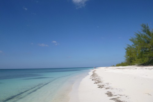 Cuba cayo de levisa plage ouest (2).JPG