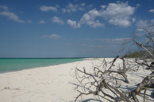 Cuba cayo de levisa plage est.JPG