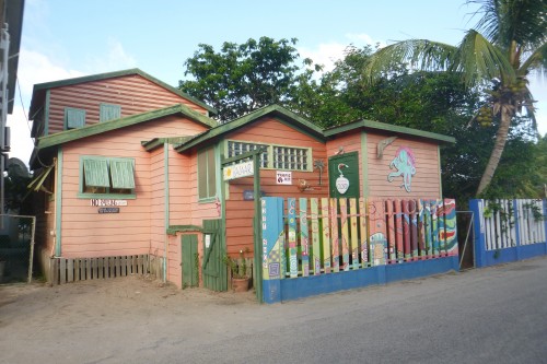 placencia maison et cloture.JPG