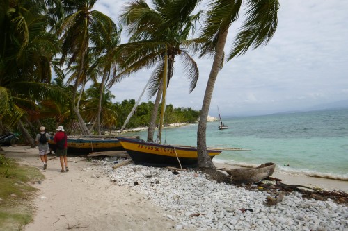 20 ile a vache caille coq barques.JPG