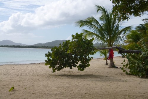 2 sun bay 3 vieques (2).JPG