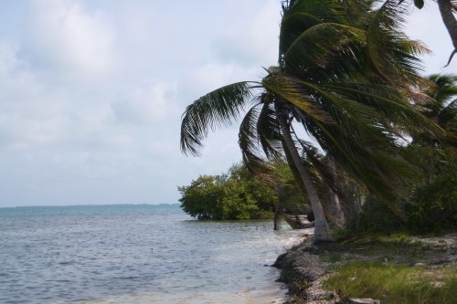 punta allen vers le phare.JPG