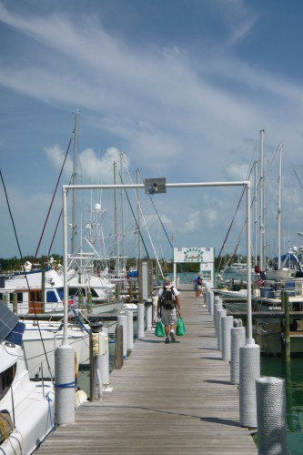 P1070202bahamas Abacos marsh harbour mangoe marina.JPG