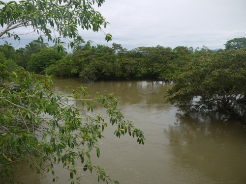 rivière en crue.JPG