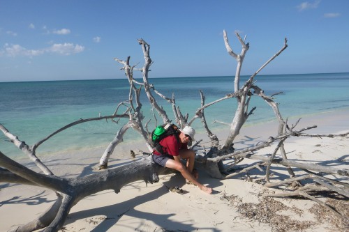 Cuba cayo de levisa cimetière à palétuviers avec Cuba cayo de levisa cimetière à palétuviers avec bernard.JPG