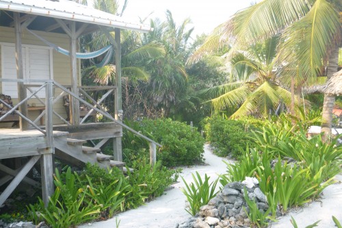 glover long cay cabane.JPG