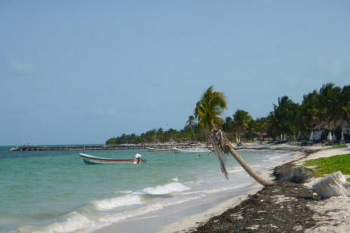 punta allen plage.JPG