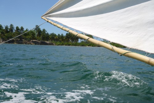 ile a vache notre barque (6).JPG