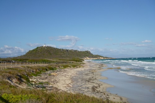 1 isla caya dos muertos plage aux tortues.JPG