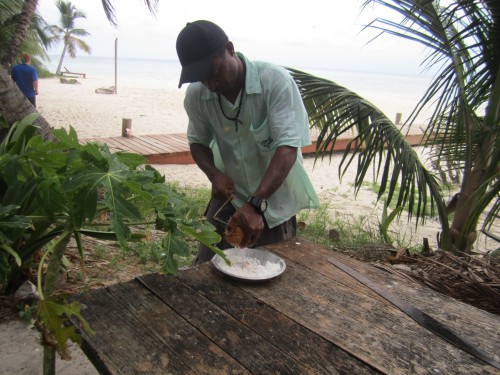 ranguana cay le pelage de la noix de coco.JPG