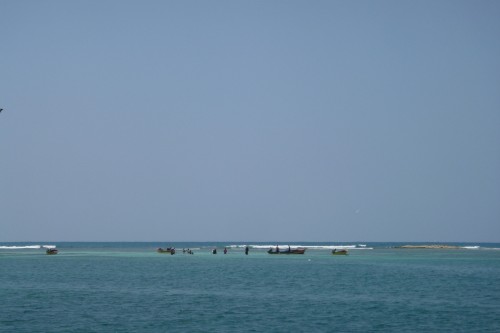 alligator reef fin de pêche J.JPG