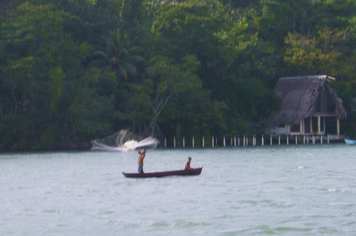 guatemala rio dulce lancer de filet.JPG