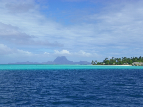 Jardin de Corail et hotel Tahiti Pearl (1).JPG