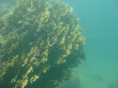 DSC04673.jpg