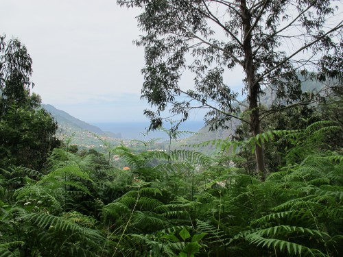 madère,porto-santo,funchal