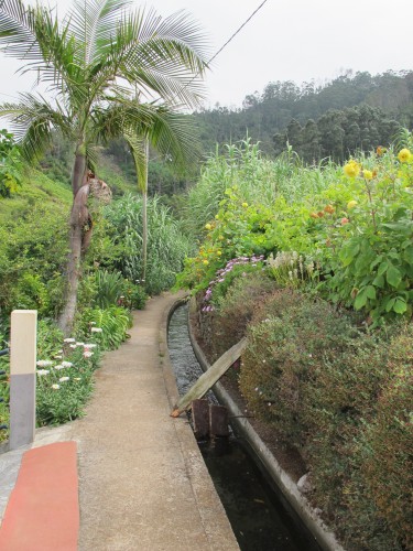 madère,porto-santo,funchal