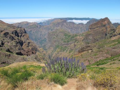 madère,porto-santo,funchal