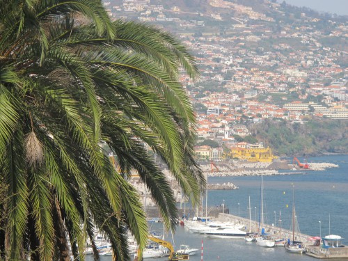 madère,porto-santo,funchal