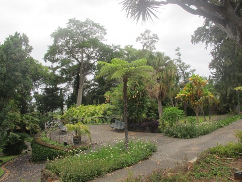 madère,porto-santo,funchal