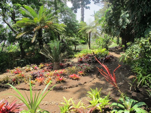 madère,porto-santo,funchal