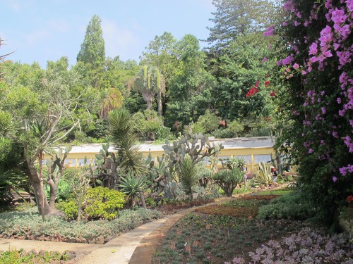 madère,porto-santo,funchal