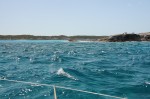 DSC_1573.JPG