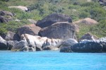 DSC_9121.JPG