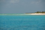 DSC_1140.JPG
