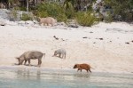 DSC_2056.JPG