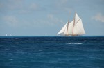 DSC_9596.JPG
