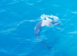 DSC_0489.JPG