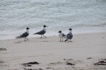 DSC_2059.JPG