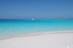 DSC_1326.JPG