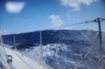 DSC_7182.JPG