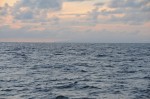 DSC_6472.JPG