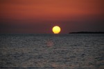 DSC_1943.JPG